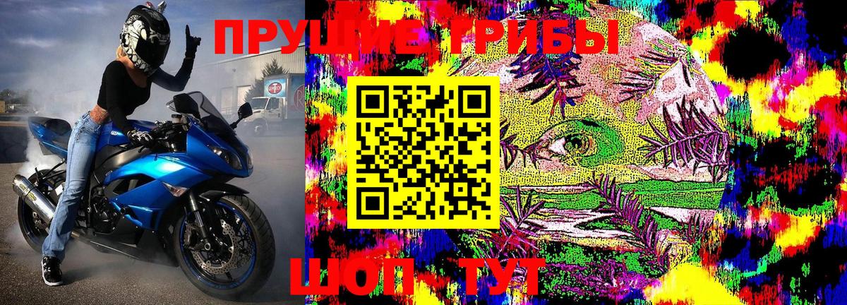 где купить наркоту  Вход с VPN  Вольск  Галлюциногенные грибы GOLDEN TEACHER 